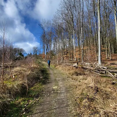 Muttental Διαμέρισμα *