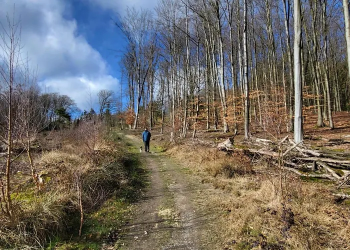 Muttental Apartmán *